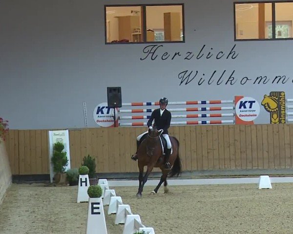 Reitturnier Grafenrheinfeld/Ufr. 2024