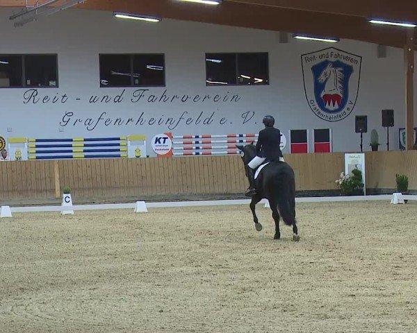 Reitturnier Grafenrheinfeld/Ufr. 2024