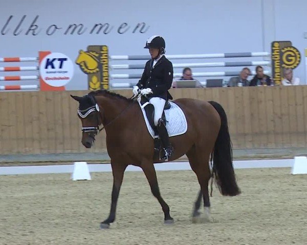 Reitturnier Grafenrheinfeld/Ufr. 2024