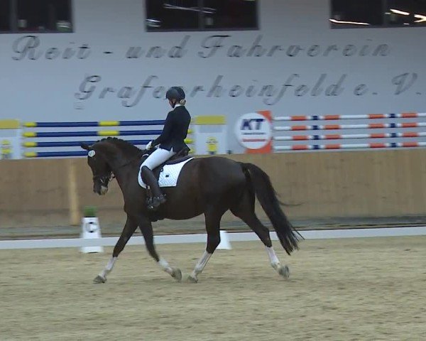 Reitturnier Grafenrheinfeld/Ufr. 2024