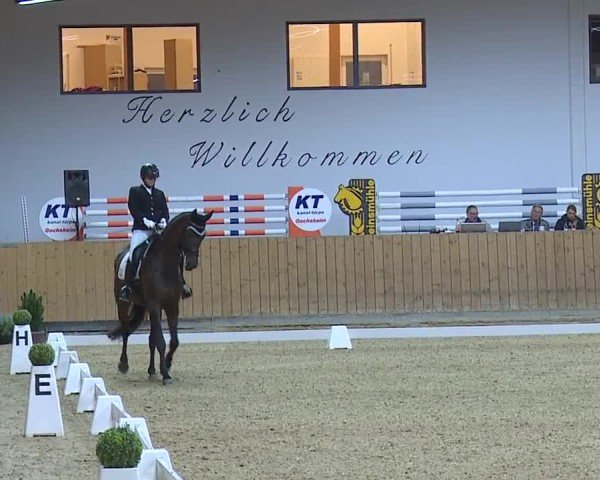 Reitturnier Grafenrheinfeld/Ufr. 2024