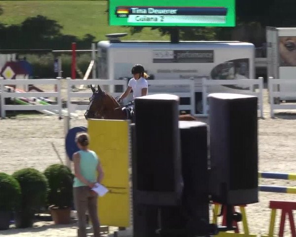 Landeschampionat Baden-Württemberg 2013