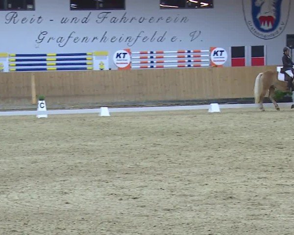 Reitturnier Grafenrheinfeld/Ufr. 2024