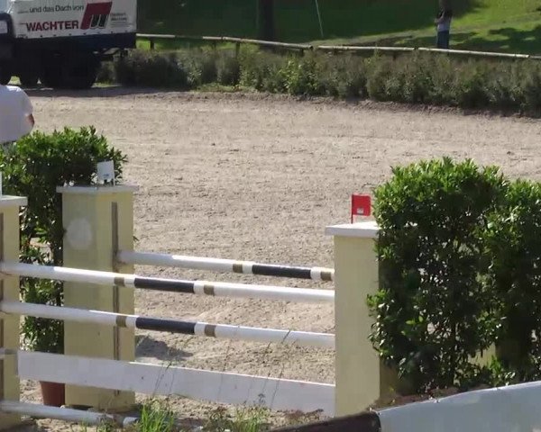 Landeschampionat Baden-Württemberg 2013