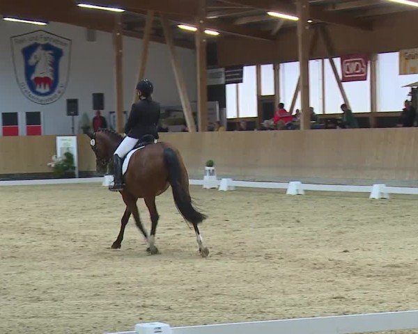 Reitturnier Grafenrheinfeld/Ufr. 2024