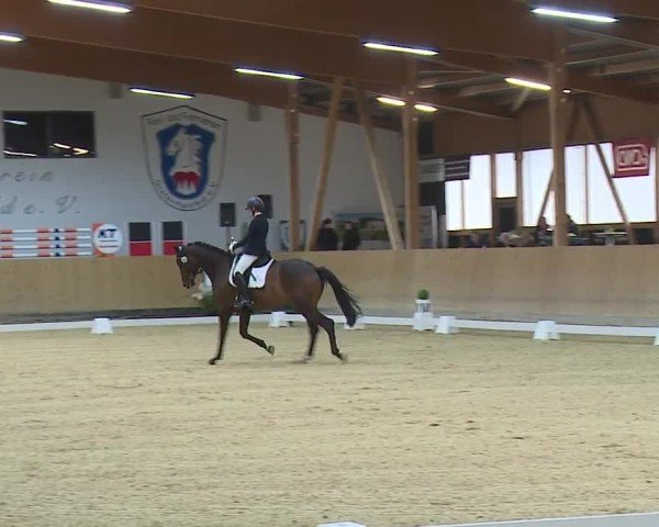 Reitturnier Grafenrheinfeld/Ufr. 2024