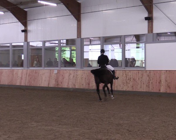 Reitturnier Albersloh 2024