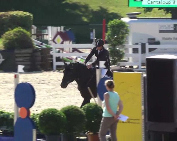 Landeschampionat Baden-Württemberg 2013