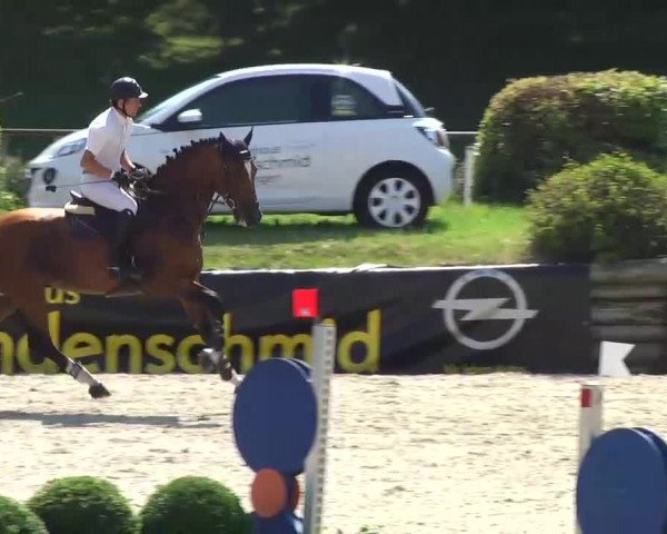 Landeschampionat Baden-Württemberg 2013