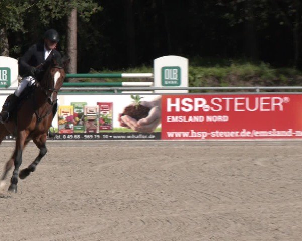 Reitturnier Dörpen 2024