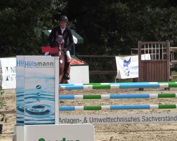 Reitturnier Albersloh 2024