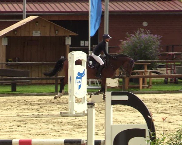 Reitturnier Albersloh 2024