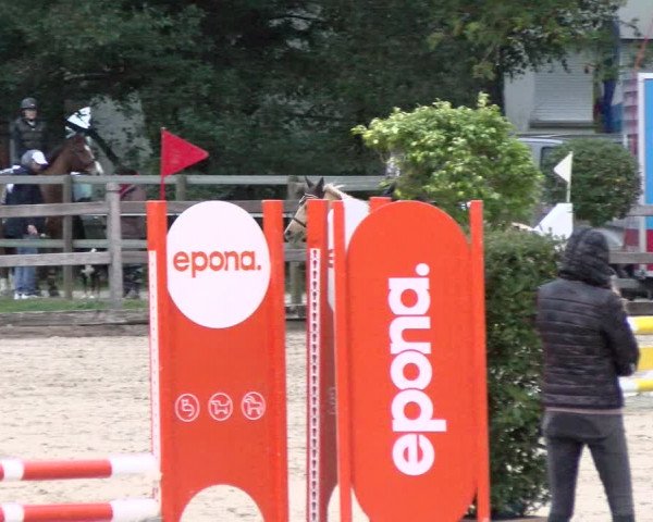Pferdesporttage Neuendorf SO 2021