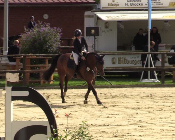 Reitturnier Albersloh 2024