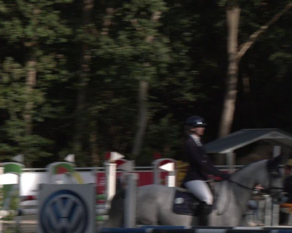 Reitturnier Dörpen 2024