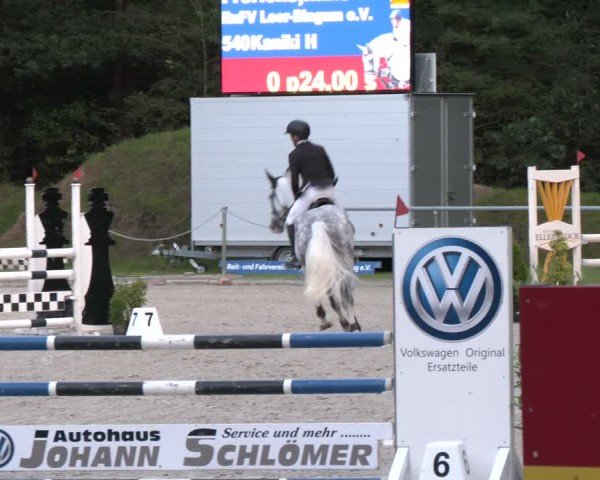 Reitturnier Dörpen 2024