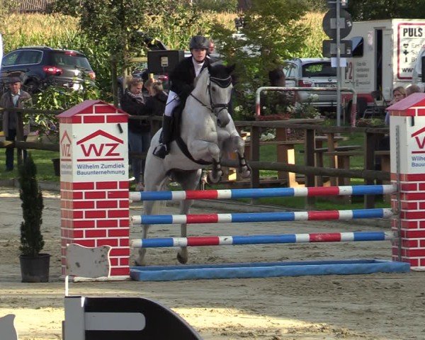 Reitturnier Albersloh 2024