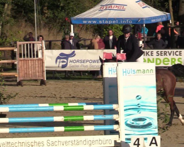 Reitturnier Albersloh 2024