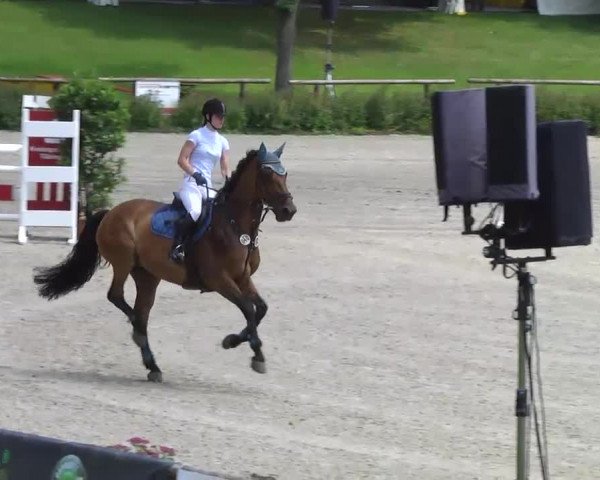 Landeschampionat Baden-Württemberg 2013