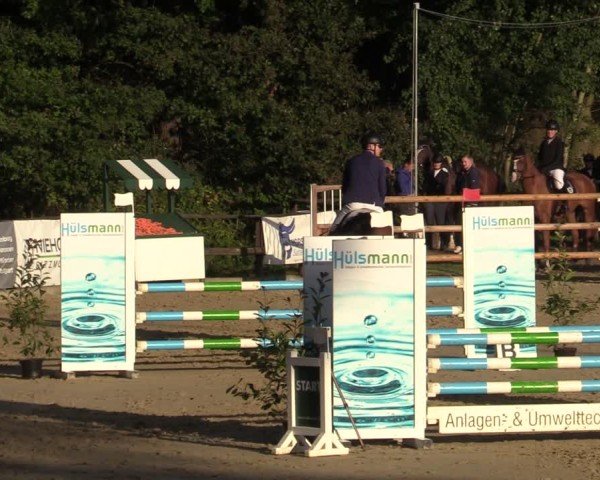Reitturnier Albersloh 2024
