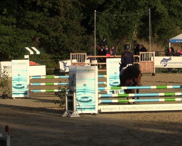 Reitturnier Albersloh 2024