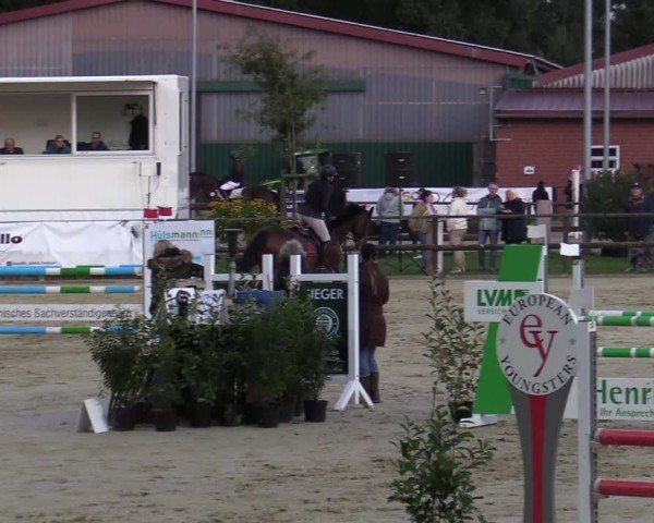Reitturnier Albersloh 2024