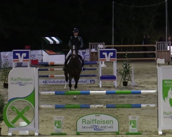 Reitturnier Albersloh 2024