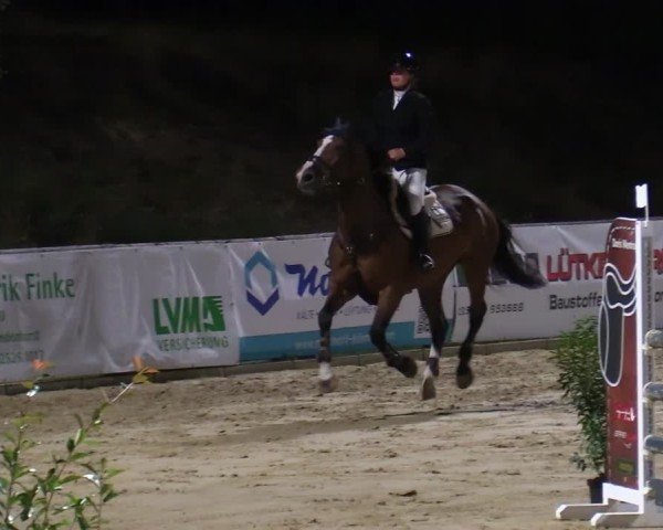 Reitturnier Albersloh 2024