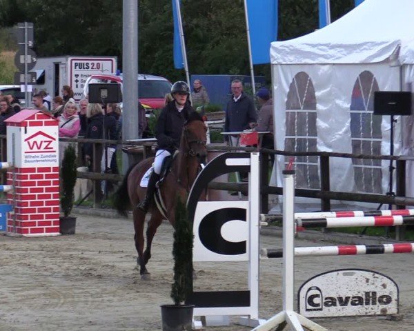 Reitturnier Albersloh 2024
