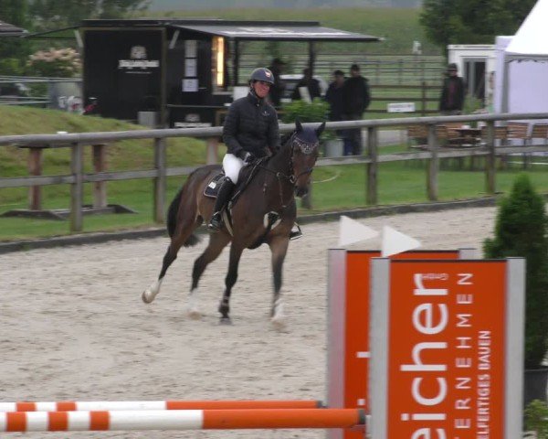 Reitturnier Honsolgen-Buchloe/Schw. 2024