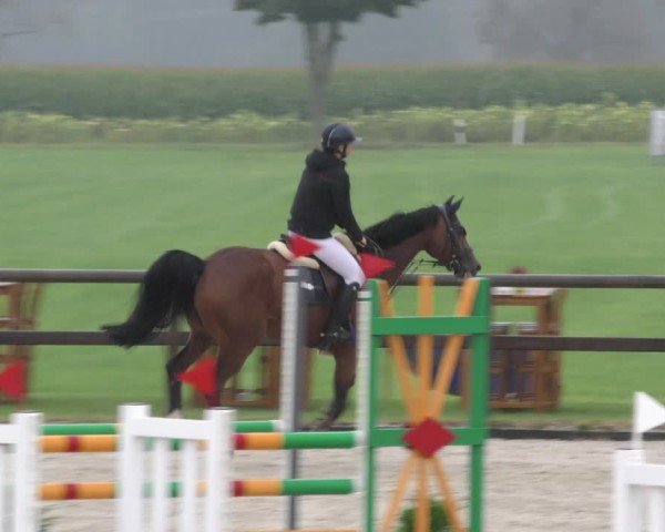 Reitturnier Honsolgen-Buchloe/Schw. 2024