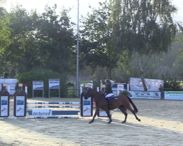 Reitturnier Seppenrade 2024