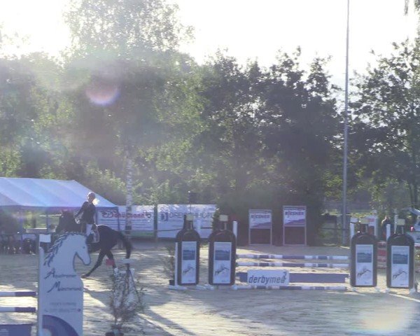 Reitturnier Seppenrade 2024