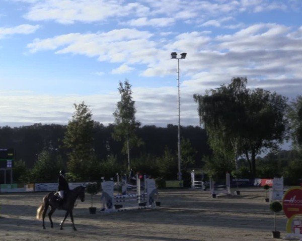 Reitturnier Seppenrade 2024