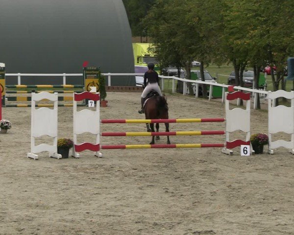Reitturnier Bad Schmiedeberg 2024