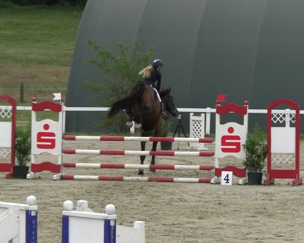 Reitturnier Bad Schmiedeberg 2024