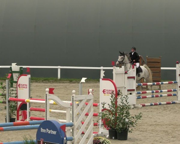 Reitturnier Bad Schmiedeberg 2024