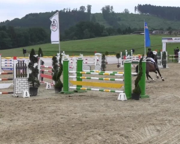 Reitturnier Lindlar Süttenbach 2013