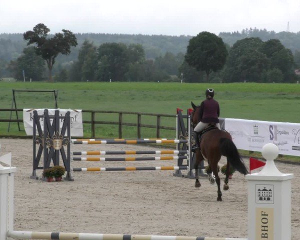 Reitturnier Honsolgen-Buchloe/Schw. 2024