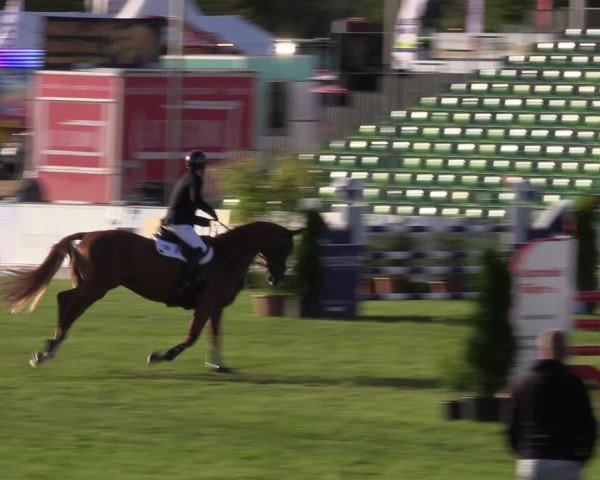 Reitturnier Mühlengeez 2024