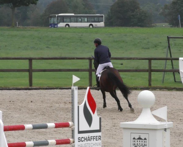 Reitturnier Honsolgen-Buchloe/Schw. 2024