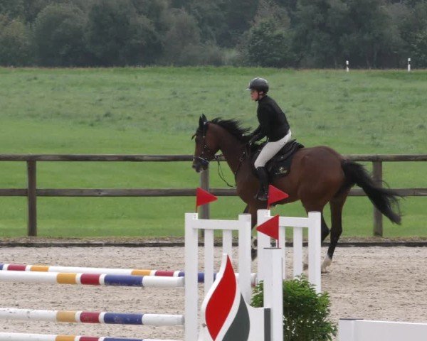 Reitturnier Honsolgen-Buchloe/Schw. 2024