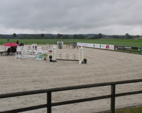 Reitturnier Honsolgen-Buchloe/Schw. 2024