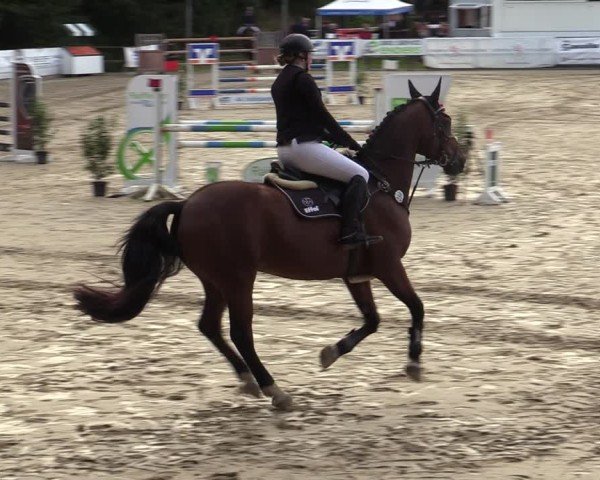 Reitturnier Albersloh 2024
