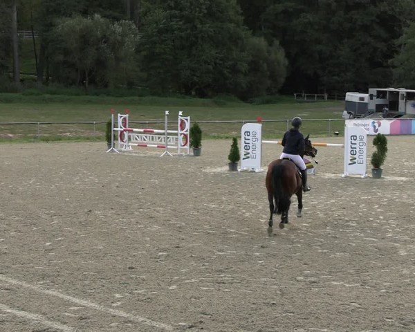 Reitturnier Bad Liebenstein/Sorga 2024