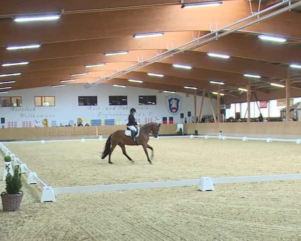 Reitturnier Grafenrheinfeld/Ufr. 2024