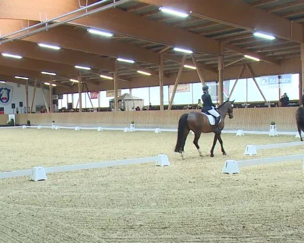 Reitturnier Grafenrheinfeld/Ufr. 2024