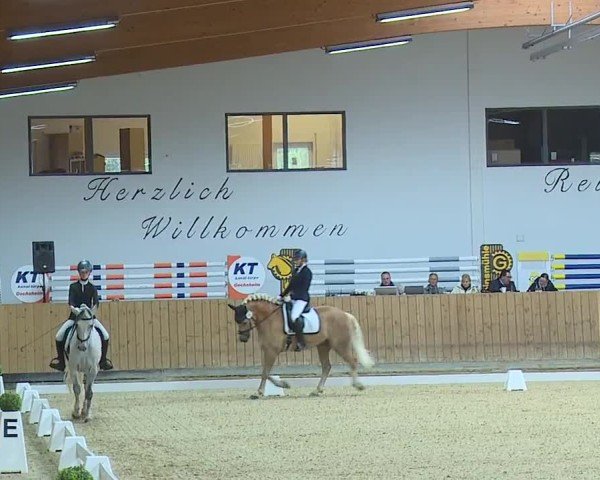 Reitturnier Grafenrheinfeld/Ufr. 2024