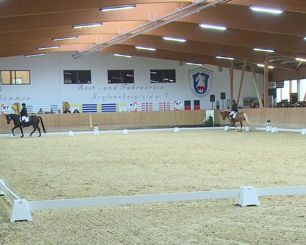 Reitturnier Grafenrheinfeld/Ufr. 2024
