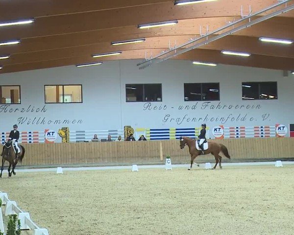 Reitturnier Grafenrheinfeld/Ufr. 2024